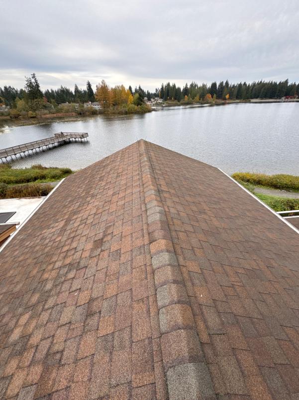 Roof cleaning service Rainier Beach