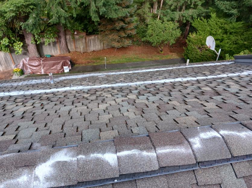 Roof cleaning moss zinc removal Lynnwood, WA