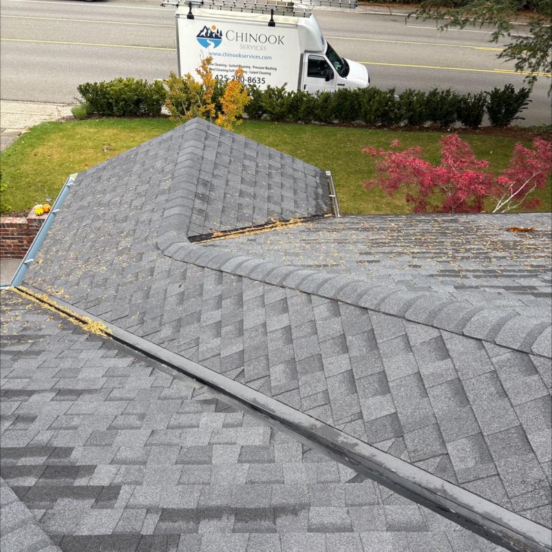 Gutter cleaning service Seattle, WA before service