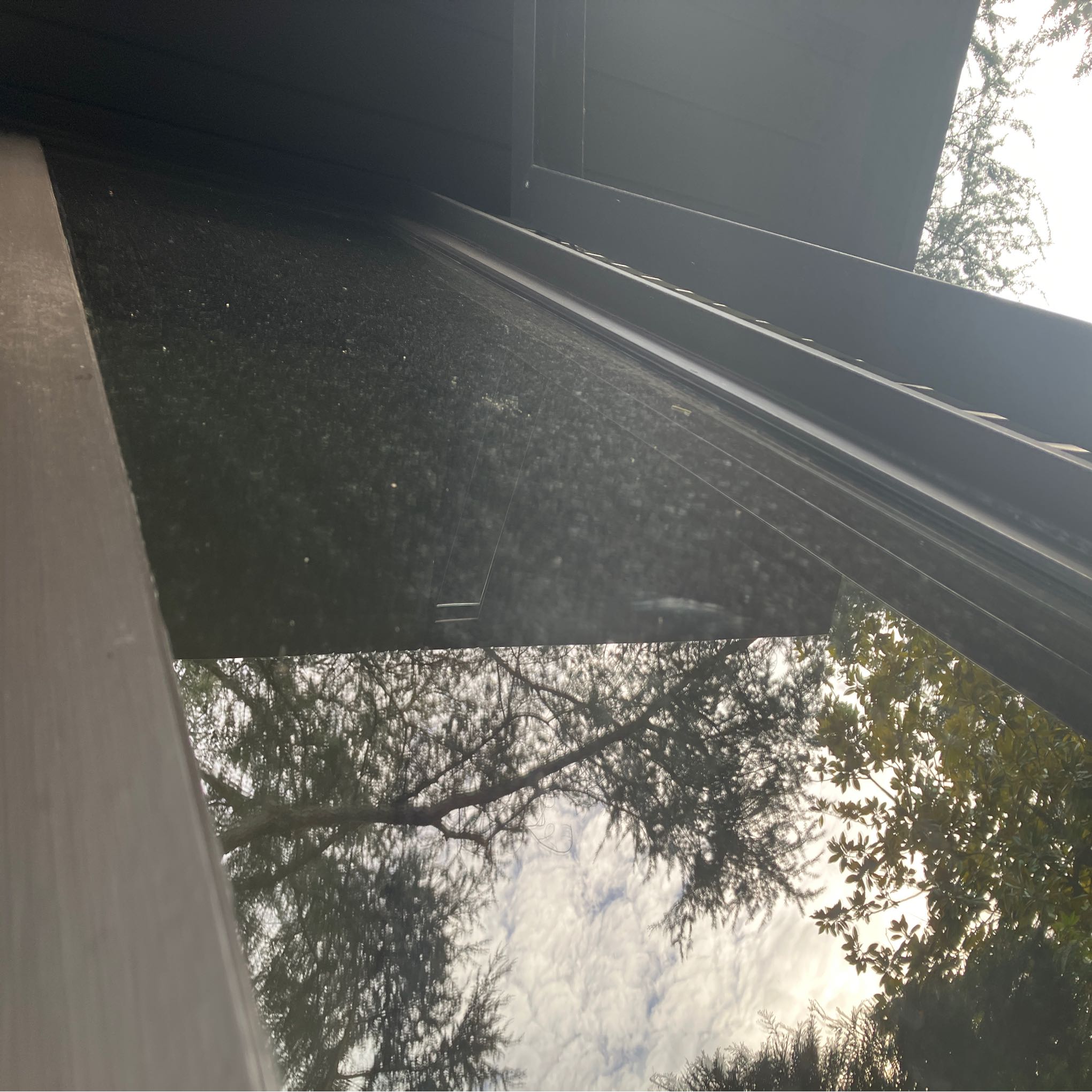 Window Cleaning Madison Park