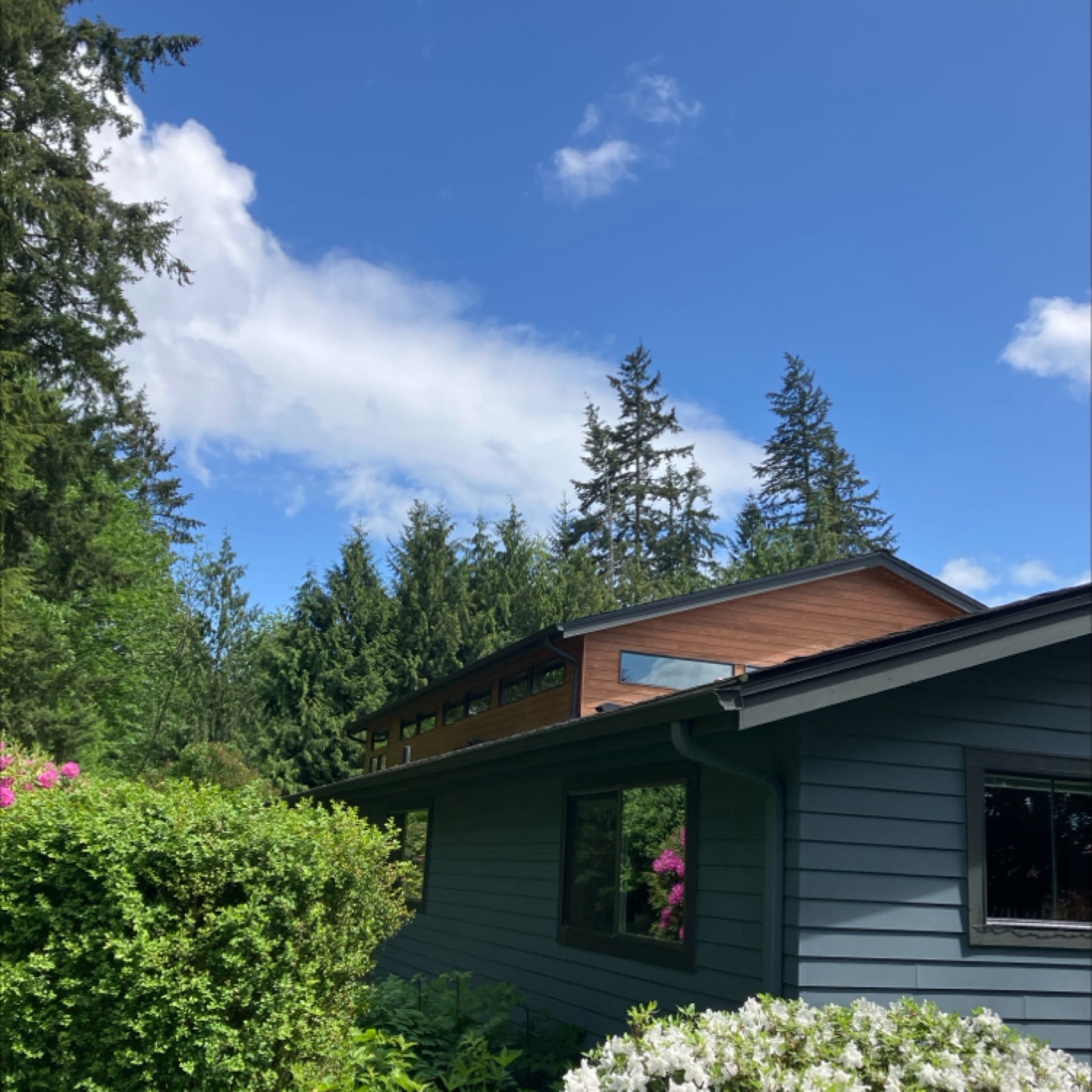 Window Cleaning Seward Park Home