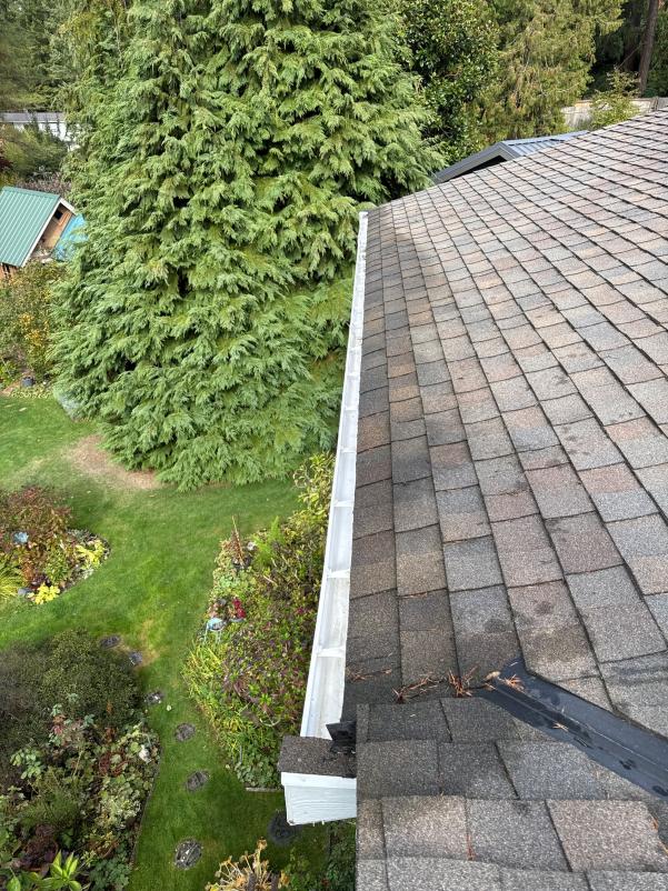 Gutter Cleaning Georgetown