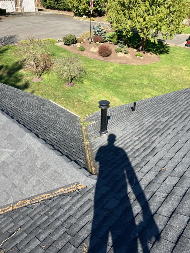 Cleaning a roof in Everett using soft wash moss removal