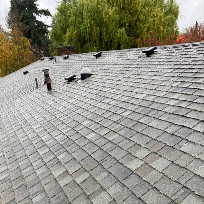 Roof cleaning services in Windermere