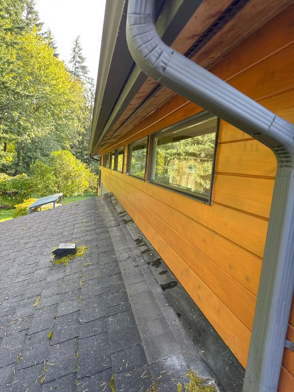 Eastlake window cleaning (1)