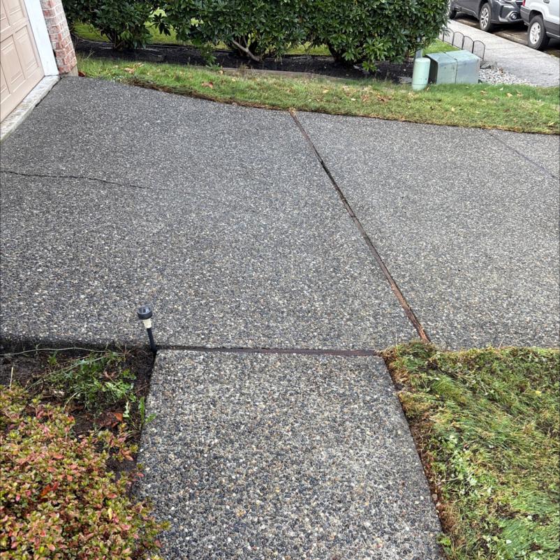 Pressure Washing Phinney Ridge (2)