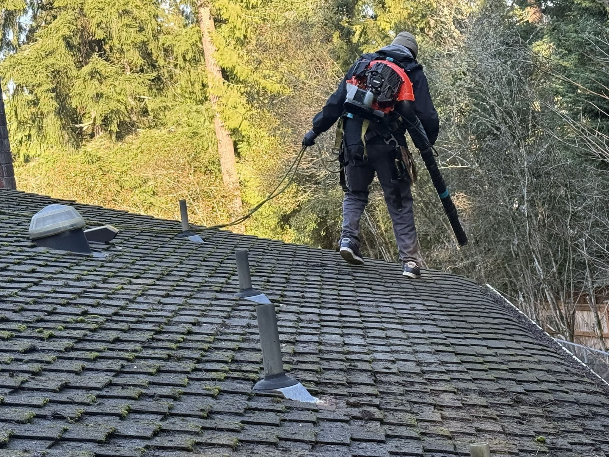 Roof cleaning service company Seward Park