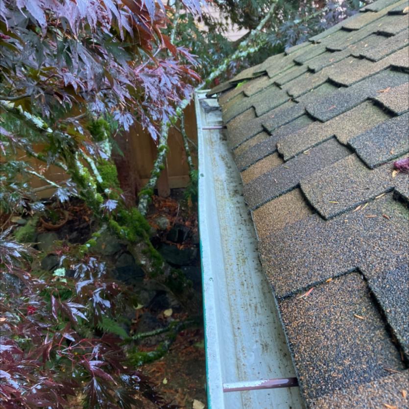 Gutter cleaning service Mountlake Terrace, WA