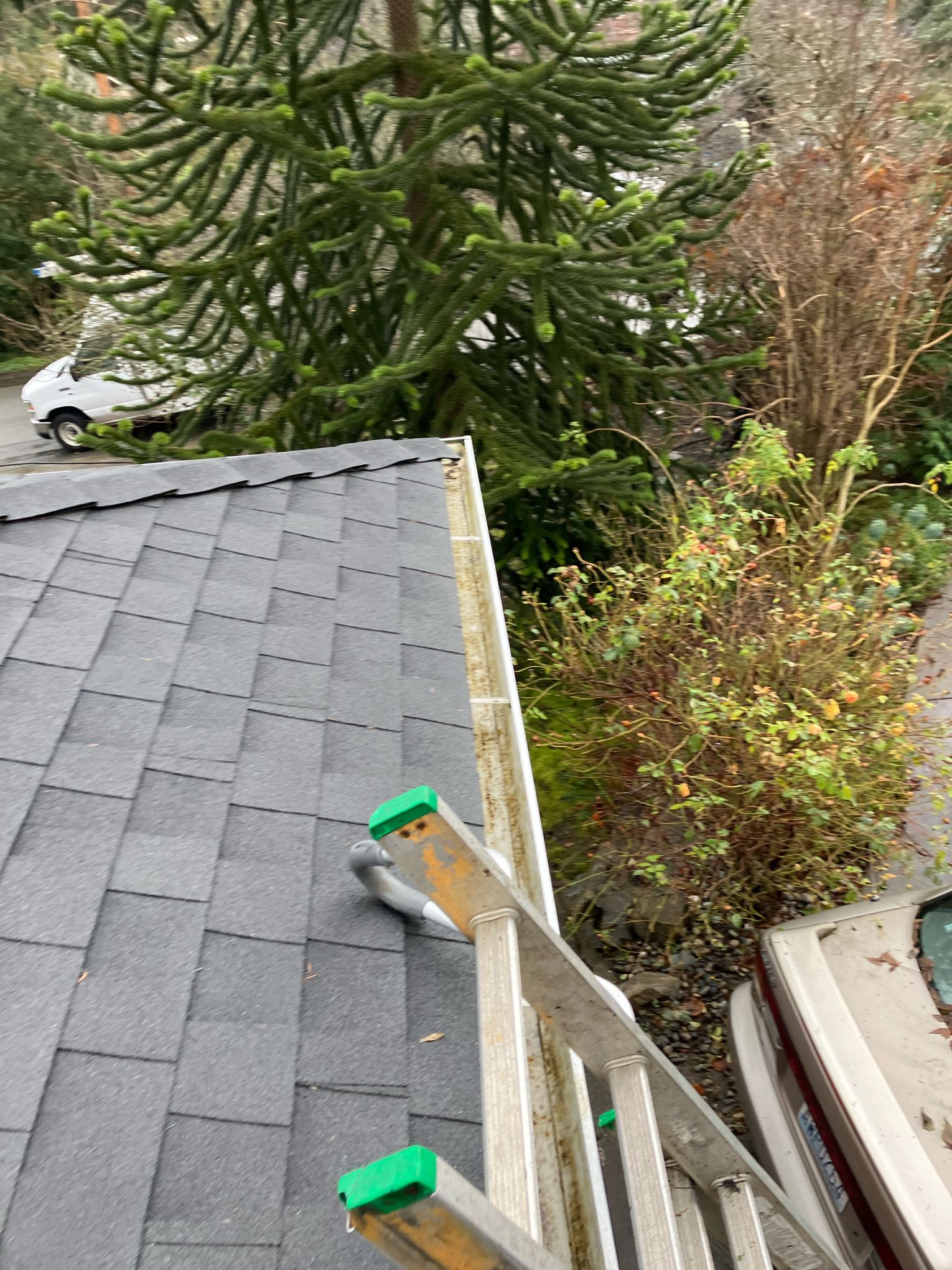 Gutter cleaning with ladder Mountlake Terrace