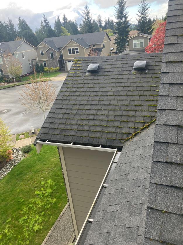 Two story gutter cleaning Mt Vernon, WA