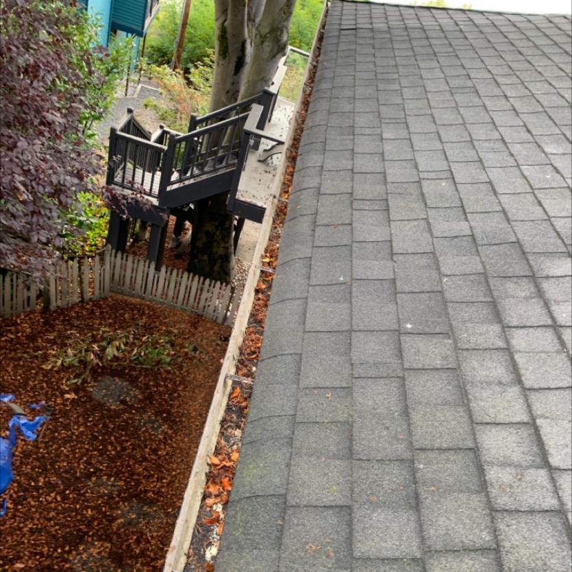 Before a gutter cleaning service in Mukilteo, WA