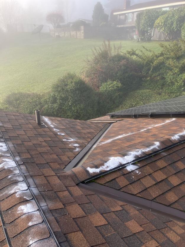 Roof cleaning moss treatment Mount Vernon, WA