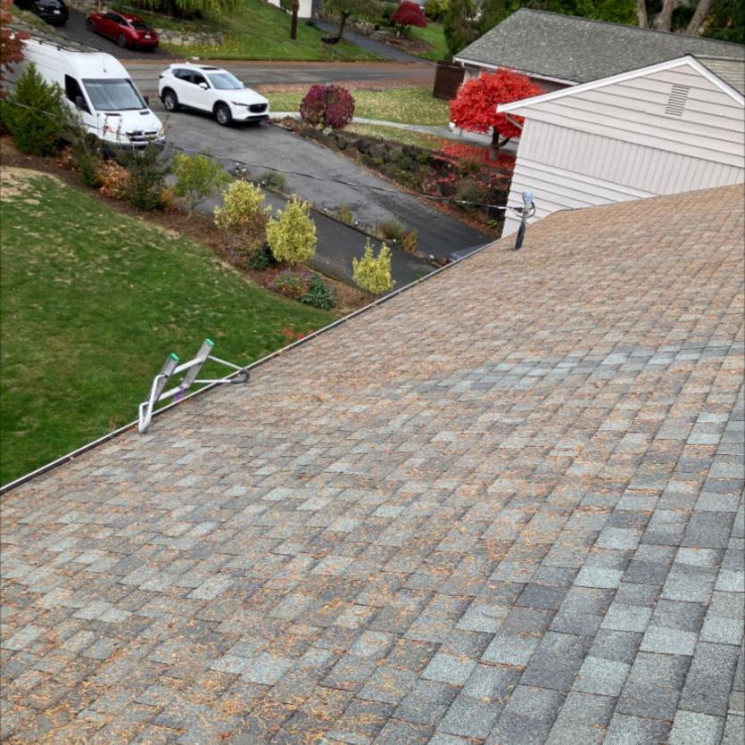 Roo cleaning before service Mt Vernon