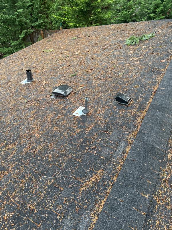 Before roof cleaning service in Gold Bar