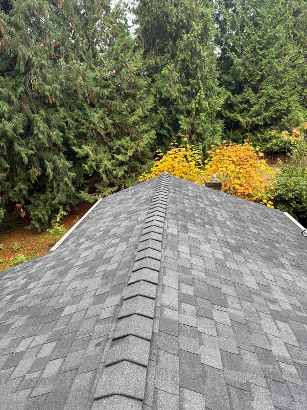 After roof cleaning and moss removal in Marysville, WA