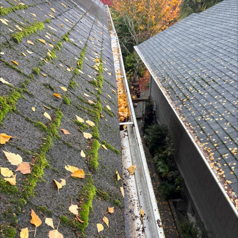 Cleaning roof moss Mukilteo, WA