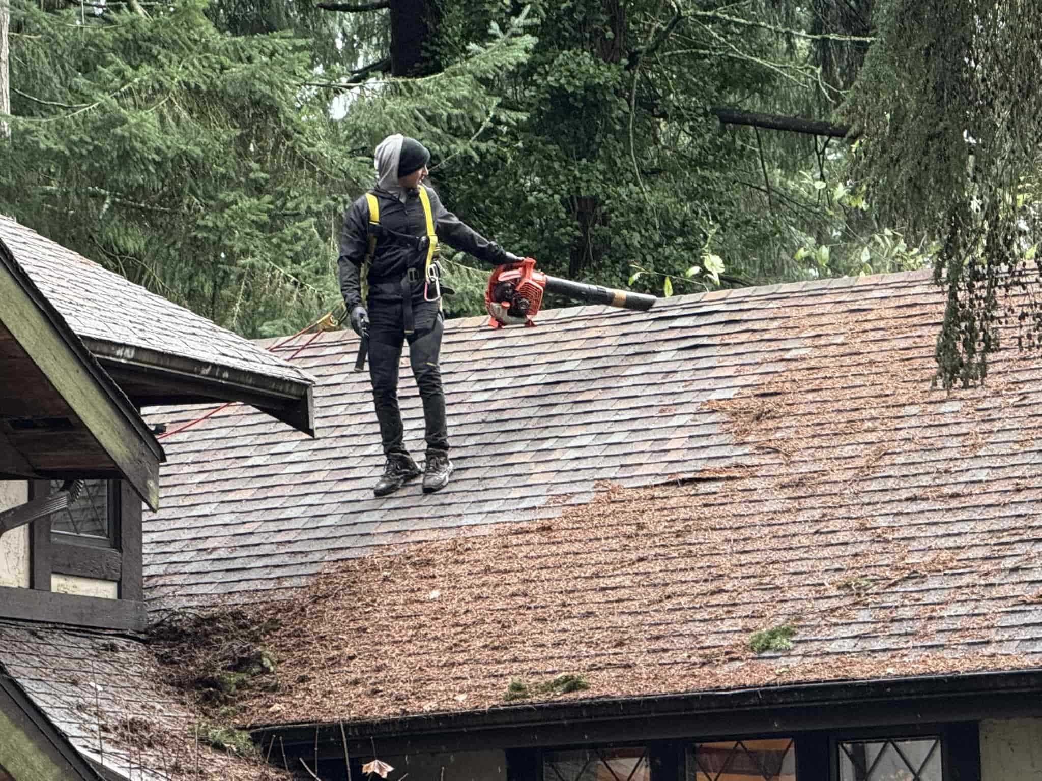 Roof cleaning in North Creek, WA