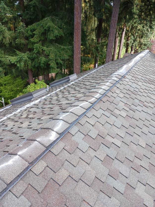 Roof cleaning service provider applies zinc moss treatment Shoreline, WA