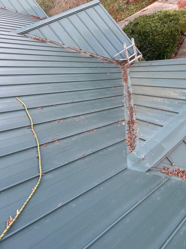 Cleaning metal roof Index, WA