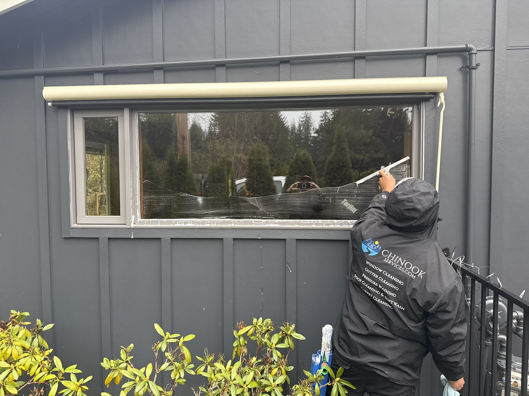 Cleaning washing windows Lynnwood WA