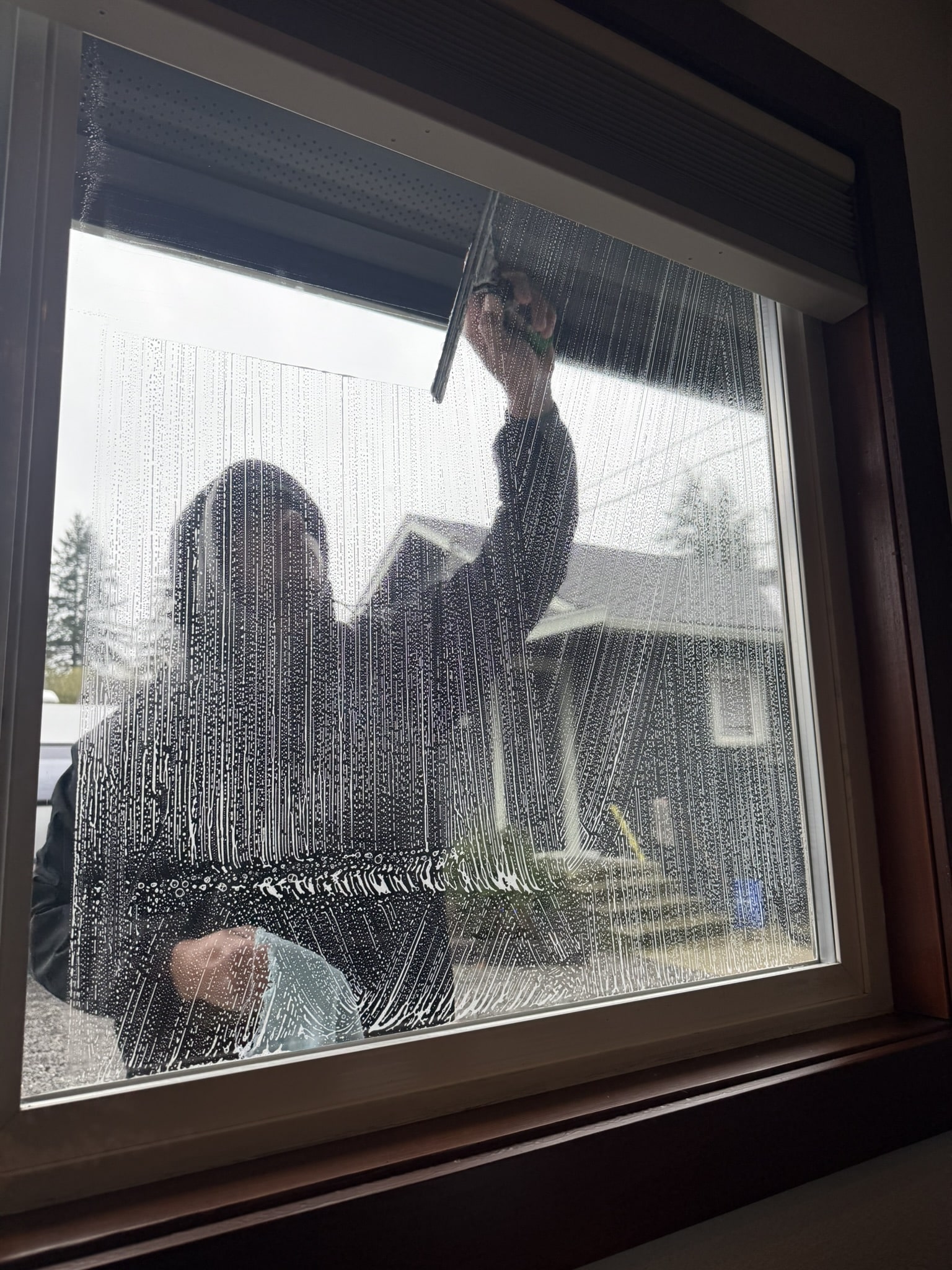 Window cleaning service Monroe WA