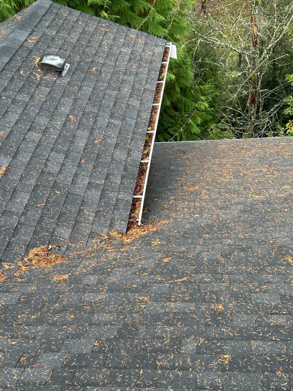 Mount Vernon gutter cleaning services before serice image