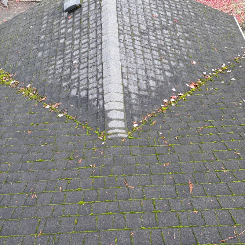Roof cleaning service removes debris on shingles Shoreline, WA