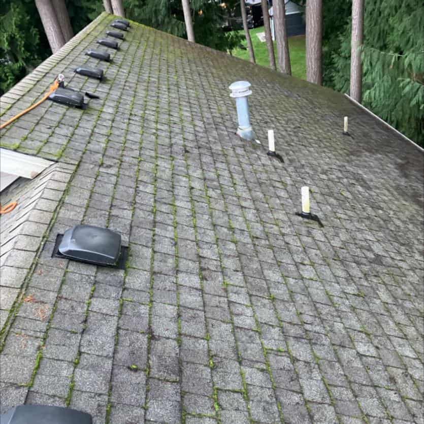 After roof cleaning service removing debris by Chinook Services