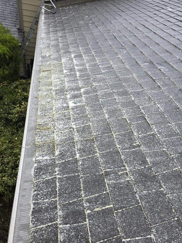 After soft wash roof cleaning services moss removal in Snohomish County
