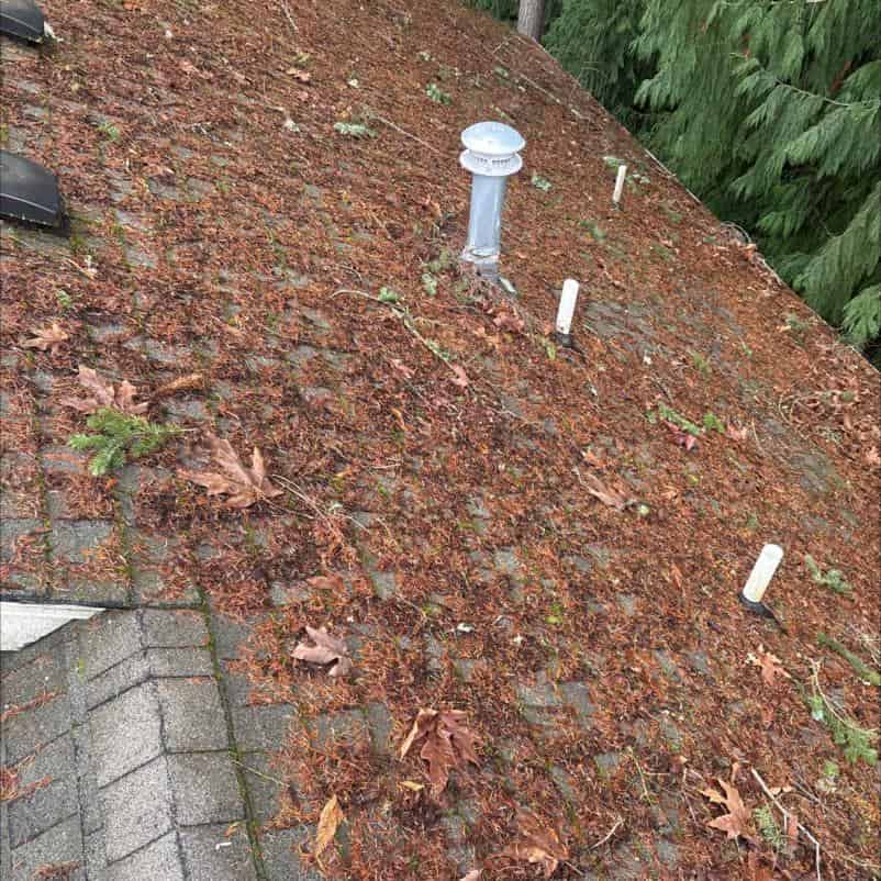 Before roof cleaning services in King and Snohomish County Chinook Services