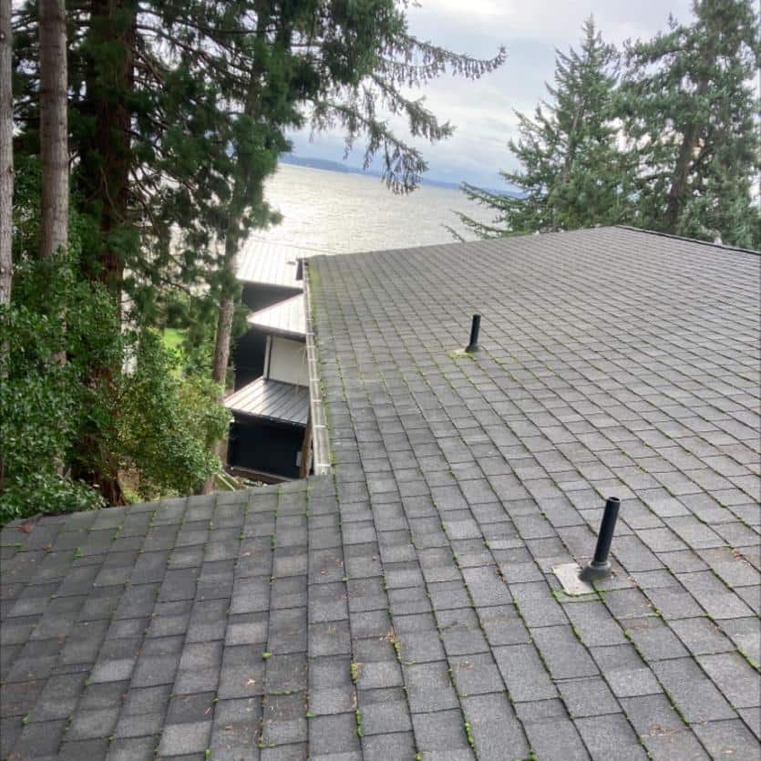 Chinook Services roof cleaning services and moss removal
