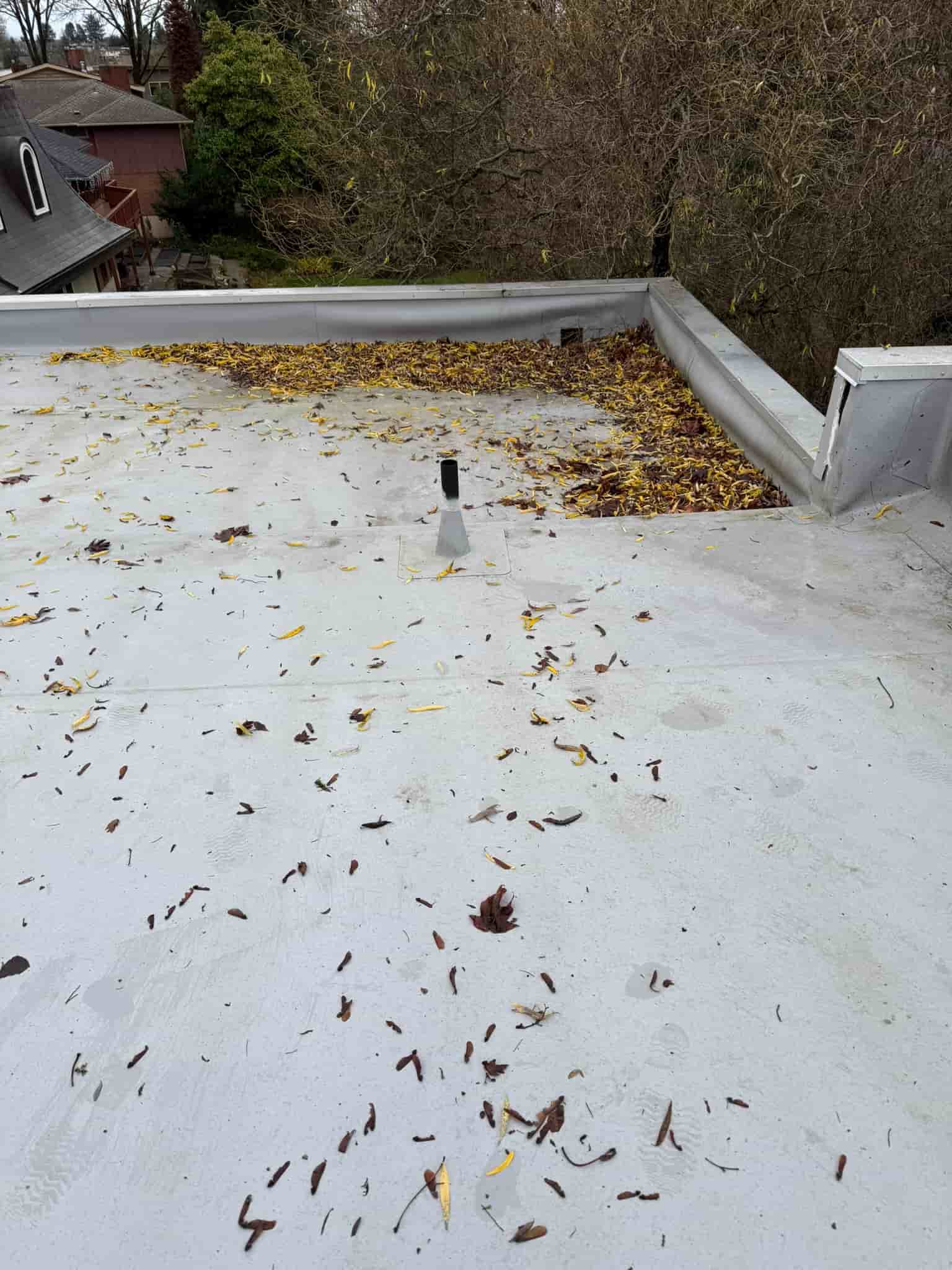 Flat roof cleaning services King and Snohomish County
