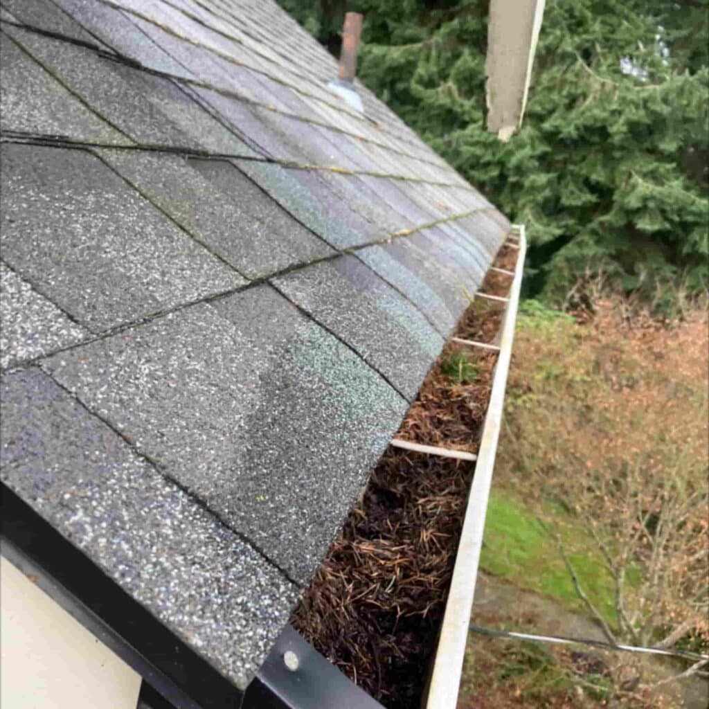 King & Snohomish County gutter cleaning service
