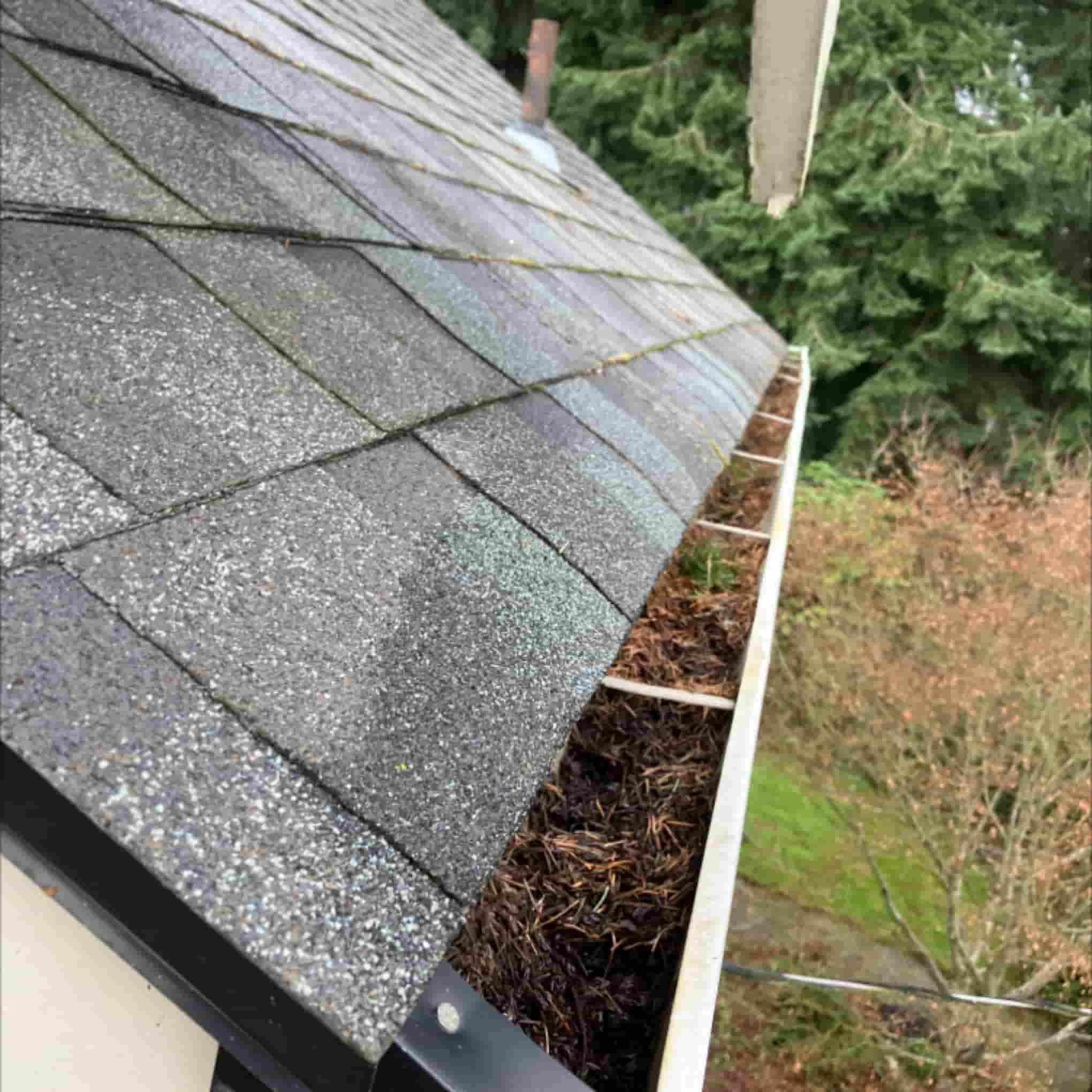Professional Gutter Cleaning Services in Seattle, WA