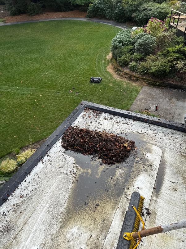 Flat roof cleaning TPO roof in Seattle WA